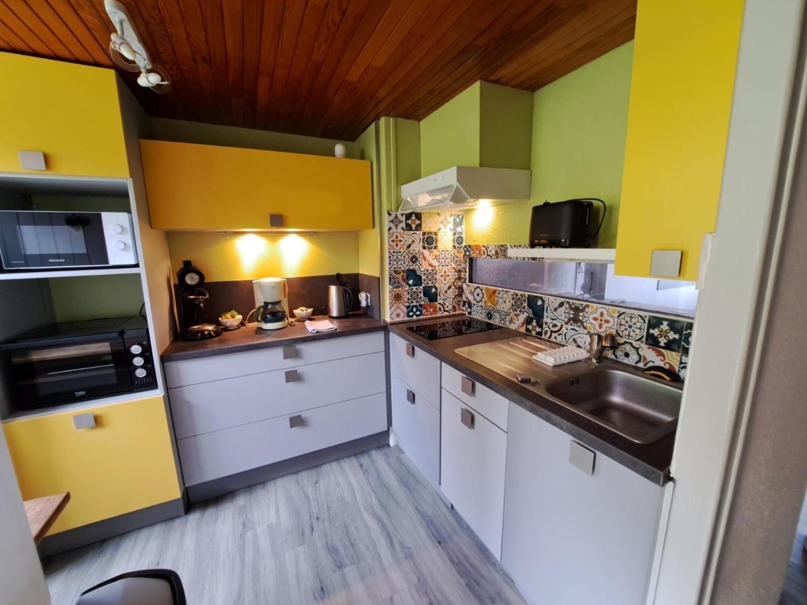 Appartement Duplex Avec Vue Sur Le Sancy Et Garage Couvert Murat-le-Quaire Ngoại thất bức ảnh